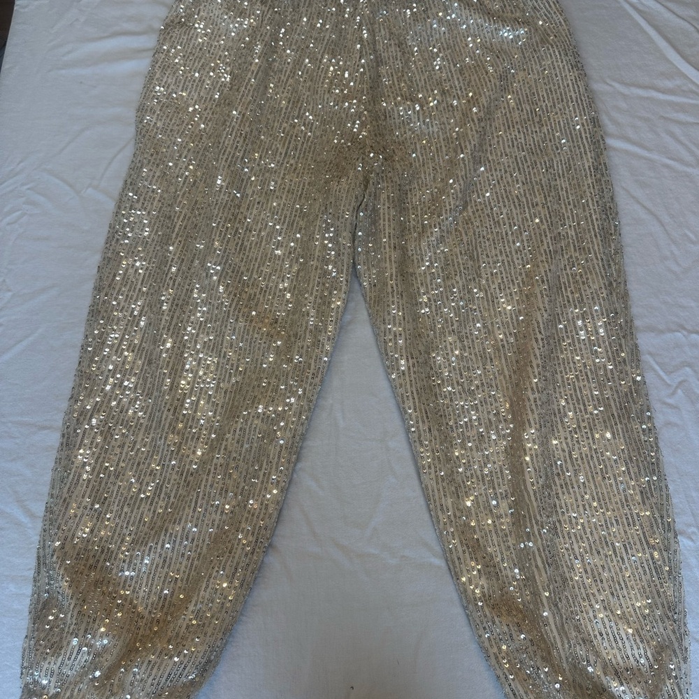 LOFT Sequin Jogger Pants - NWT - Size XL - Picture 10 of 13